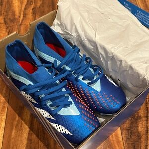 Adidas Predator FG Accuracy.2 cleats